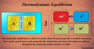 Thermodynamic Equilibrium