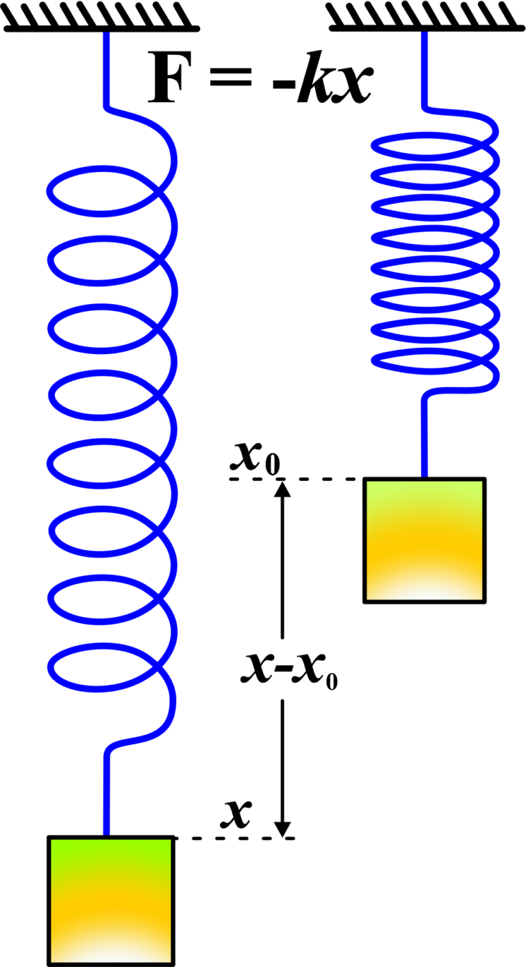 Spring Force In Physics Common Forces in Mechanics – unifyphysics